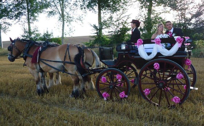 Location de calèche, mariage, cérémonie